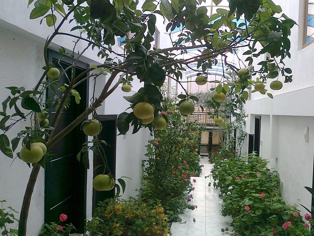 Family Hotel Belvedere Dulgopol ภายนอก รูปภาพ