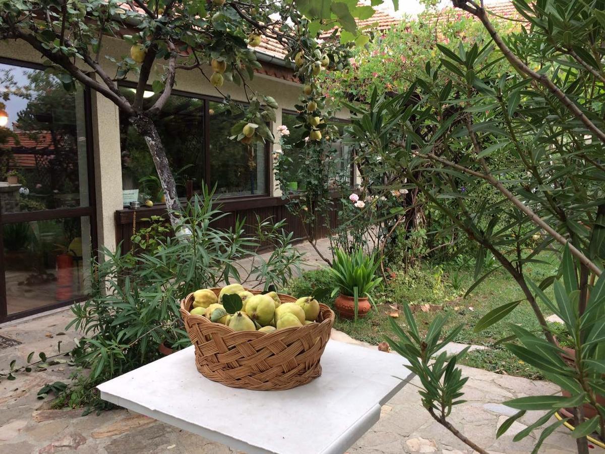 Family Hotel Belvedere Dulgopol ภายนอก รูปภาพ