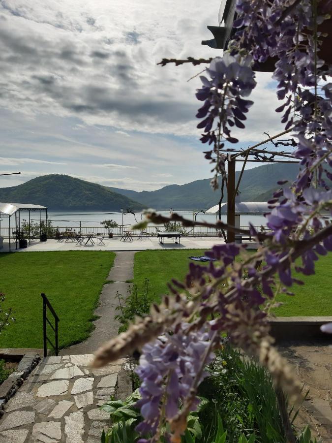 Family Hotel Belvedere Dulgopol ภายนอก รูปภาพ