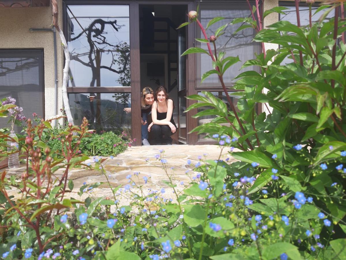Family Hotel Belvedere Dulgopol ภายนอก รูปภาพ