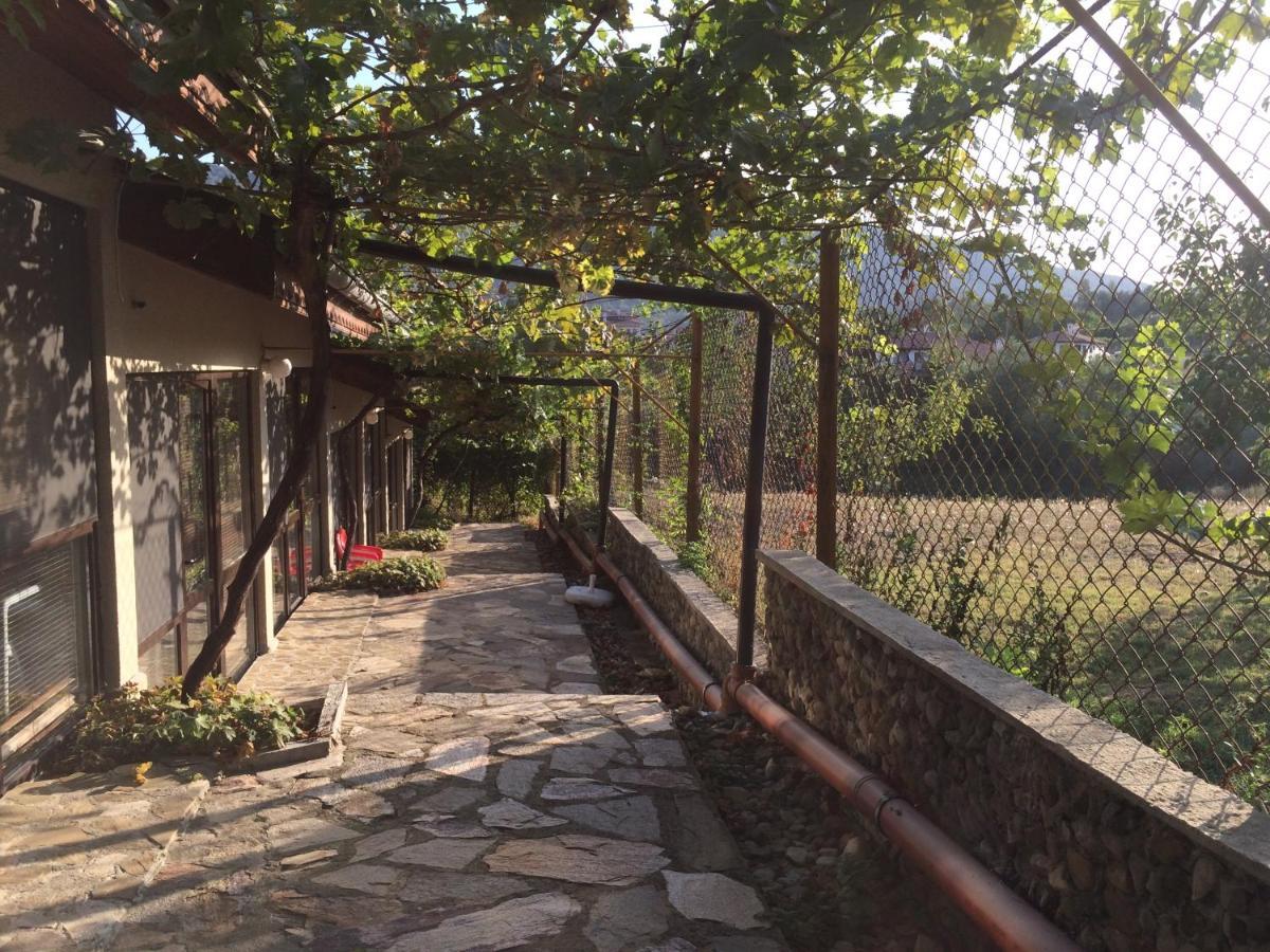 Family Hotel Belvedere Dulgopol ภายนอก รูปภาพ
